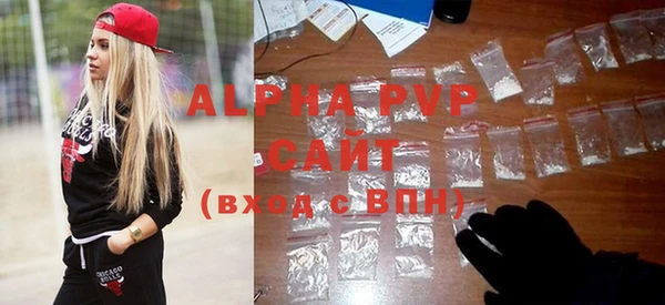 стафф Алзамай